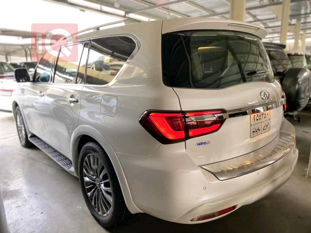 ئينفنتي QX80